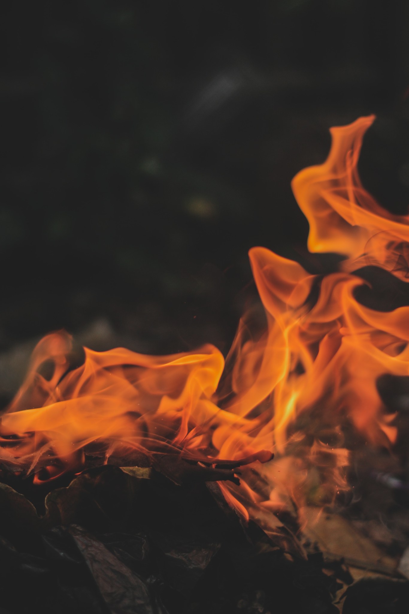 How to Photograph Fire – Living Fires