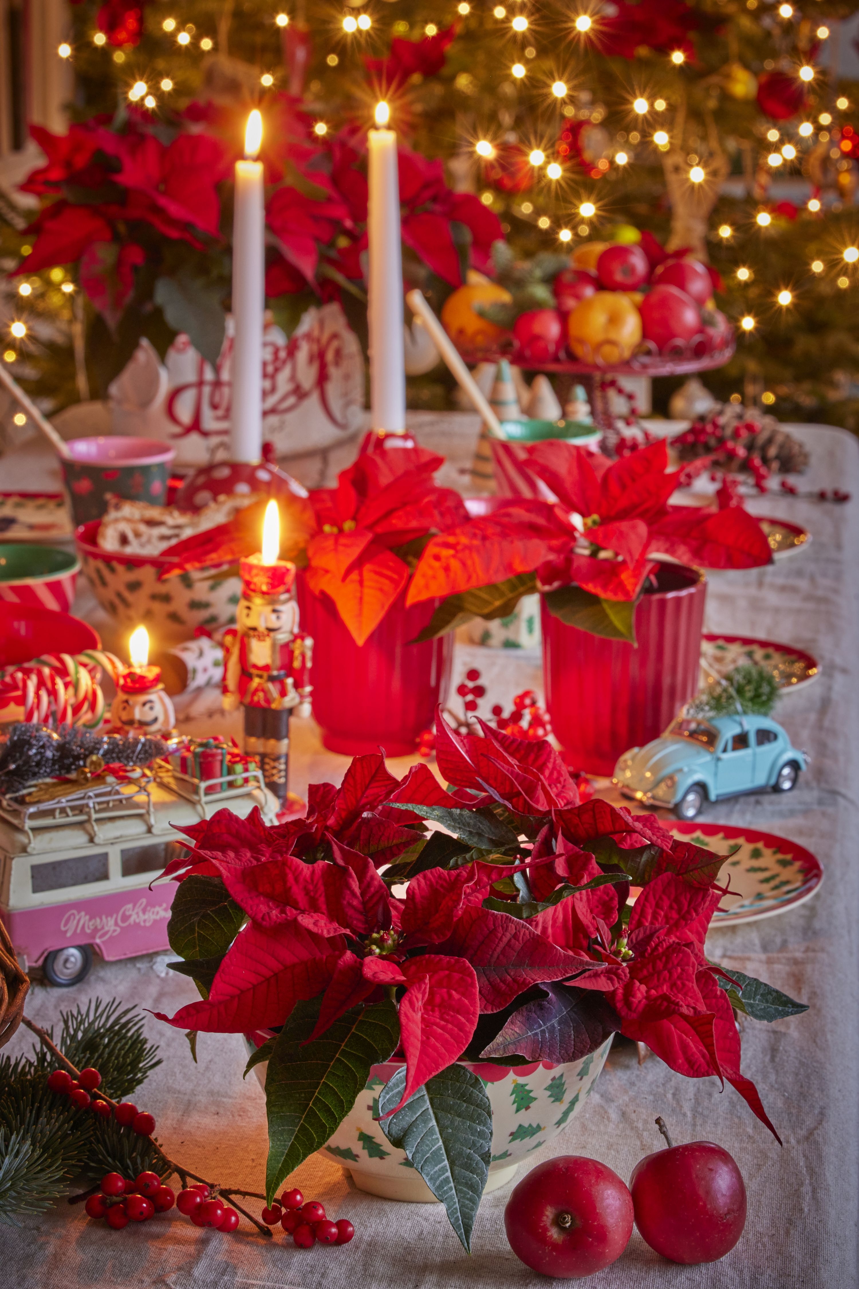 Deck the Halls with Boughs of Holly – Living Fires
